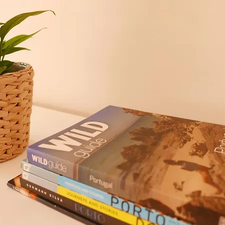 Breiner Apartment, Arts District * Porto