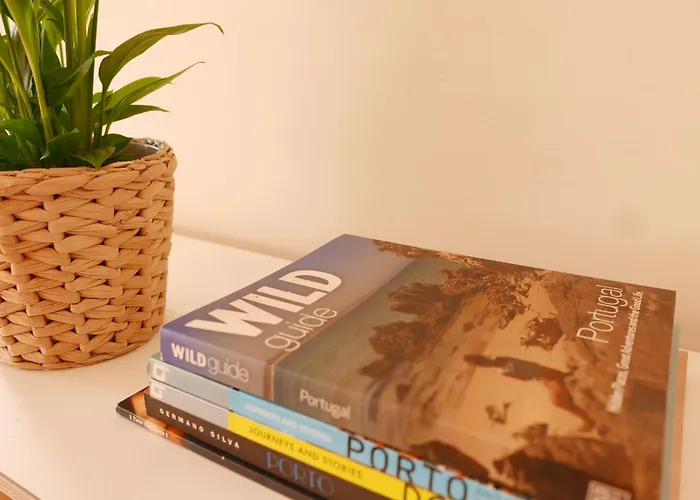 Breiner Apartment, Arts District * 波尔图